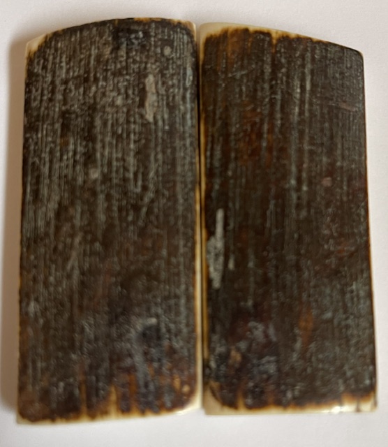  MAMMOTH IVORY SCALES             2-3/4 X 1-3/16 X 1/4 