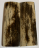  MAMMOTH IVORY SCALES            2-3/4 X 15/16 X 1/8