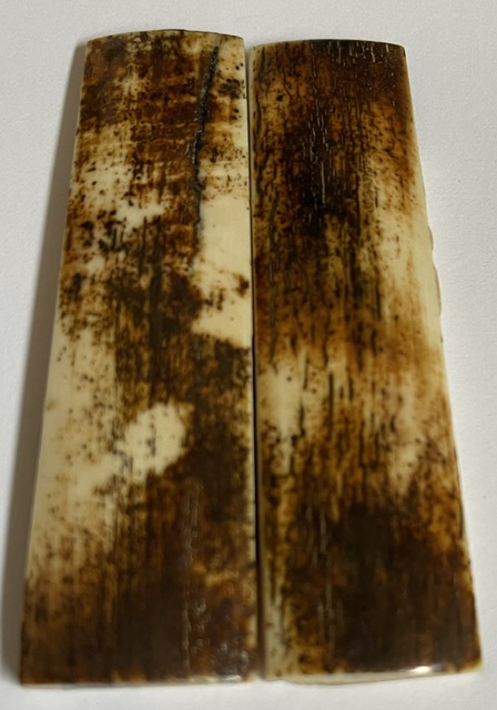  MAMMOTH IVORY SCALES           3-1/16 X 3/4 X 1/8
