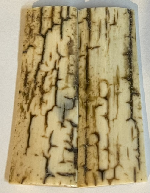  MAMMOTH IVORY SCALES           3 X 1 X 3/16