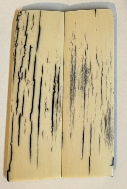 MAMMOTH IVORY SCALES           3-5/16 X 1 X 1/8
