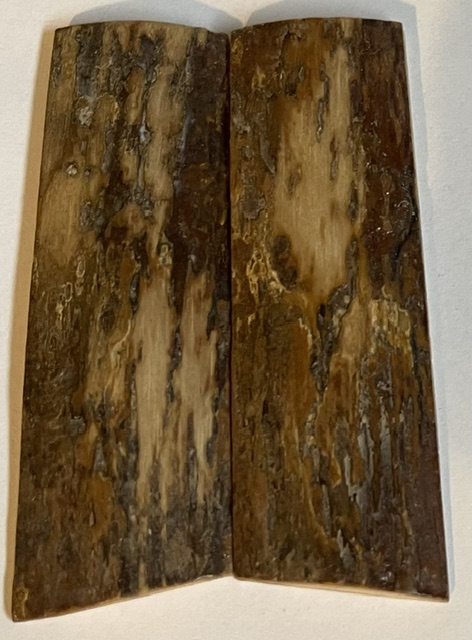  MAMMOTH IVORY SCALES           3 X 15/16 X 5/32