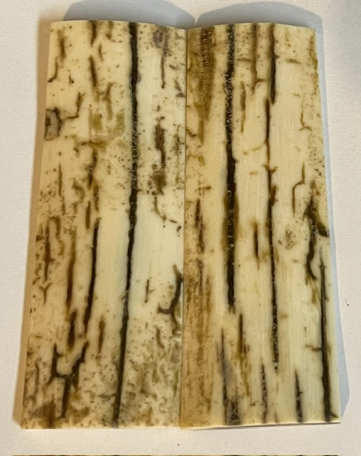  MAMMOTH IVORY SCALES           3-3/16 X 1-1/16 X 3/16