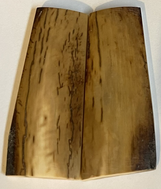  MAMMOTH IVORY SCALES        2-15/16 X 1 X 3/16