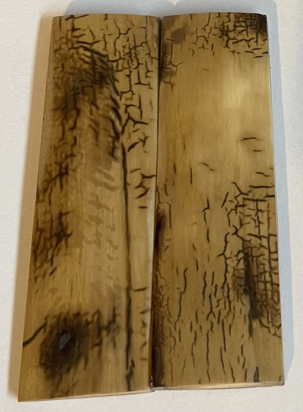  MAMMOTH IVORY SCALES          3-1/8 X 7/8 X 3/16