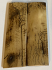  MAMMOTH IVORY SCALES          3-1/8 X 7/8 X 3/16
