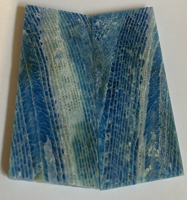 FOSSIL CORAL SCALES            2-1/2 X 1 X 1/8