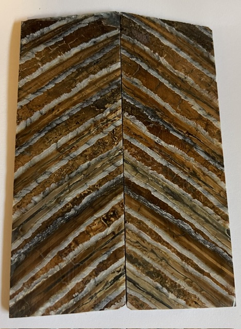 MAMMOTH TOOTH                  4-7/16 X 1-1/2 X 1/8