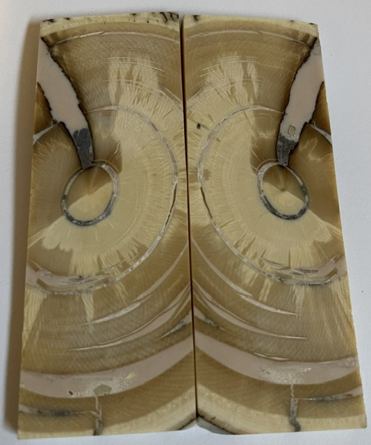 END GRAIN CUT MAMMOTH IVORY       3-3/4 X 1-5/16 X 3/16