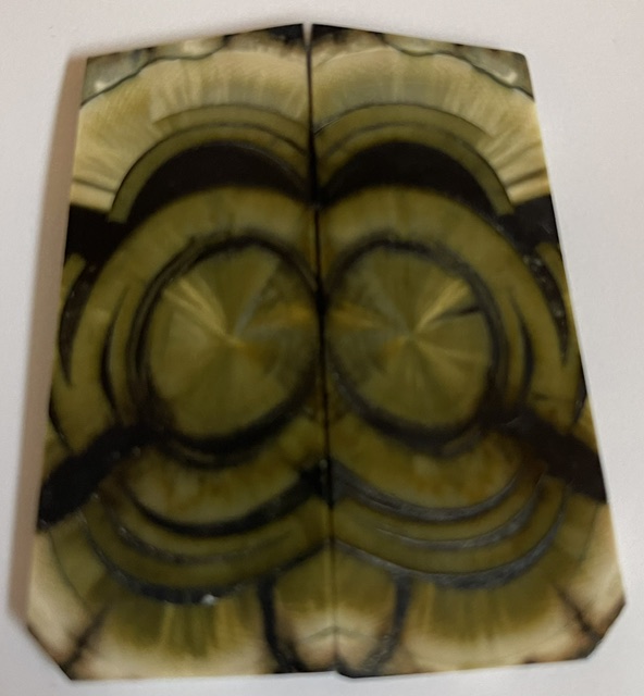 END GRAIN CUT MAMMOTH IVORY       2-1/2 X 1 X 1/8