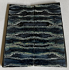 MAMMOTH TOOTH           2-3/8 X 1-1/16 X 1/8