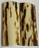  MAMMOTH IVORY SCALES         2-13/16 X 1 X 1/8