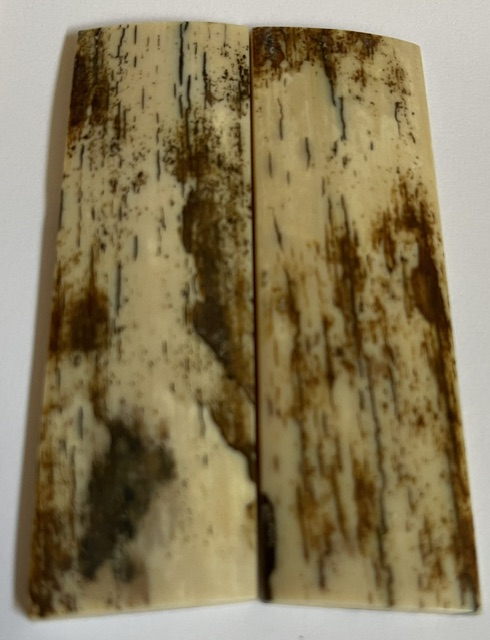  MAMMOTH IVORY SCALES         3 X 1 X 1/8