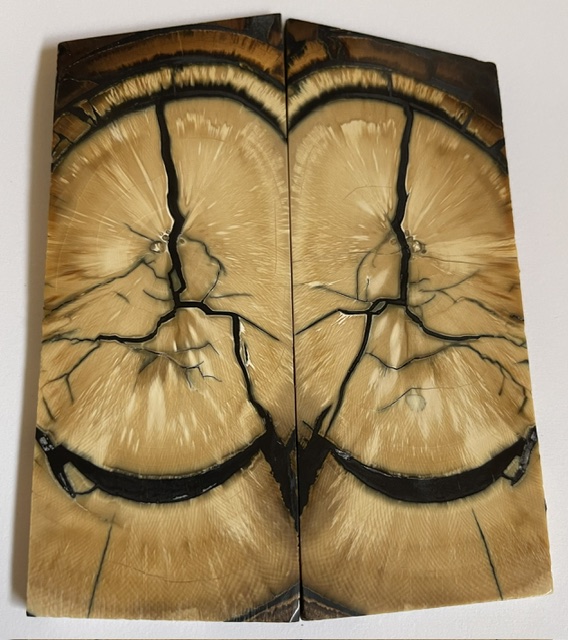 END GRAIN CUT MAMMOTH IVORY          4-3/16 tapers X 1-3/4 X 1/8