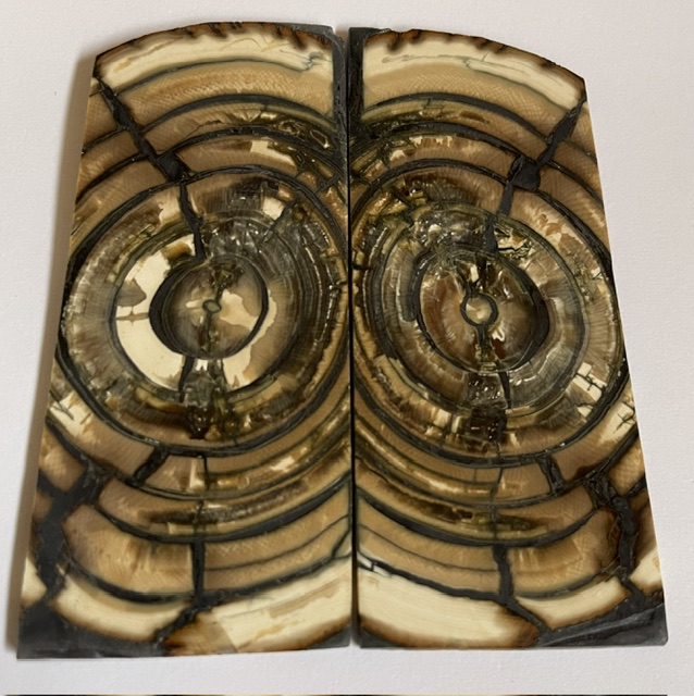 END GRAIN CUT MAMMOTH IVORY       3-5/8 X 1-1/2 X 1/8