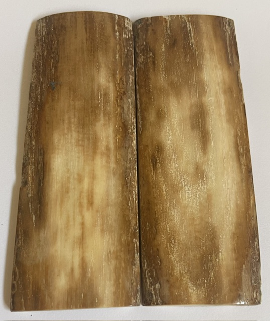  MAMMOTH IVORY SCALES           3-15/16 X 1-7/16 X 3/16