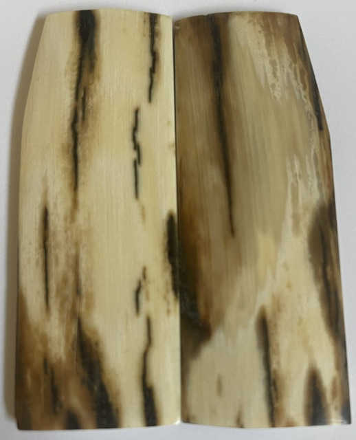  MAMMOTH IVORY SCALES           3-5/8 X 1-1/4 to 1-5/16 X 5/32
