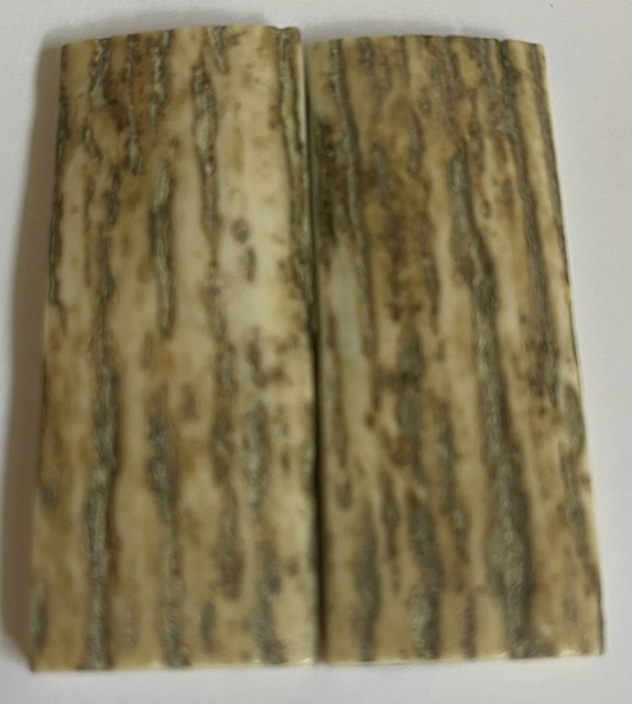  MAMMOTH IVORY SCALES        2-7/16 X 1 X 5/32