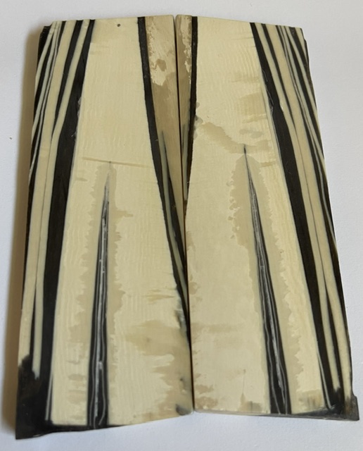 Parallel cut mammoth scales        4-1/4 X 1-1/2 X 7/32