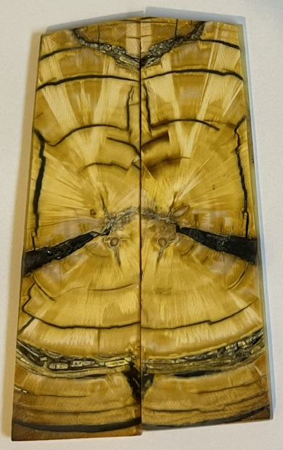 END GRAIN CUT MAMMOTH IVORY        4-1/4 X 1-3/16 X 1/8