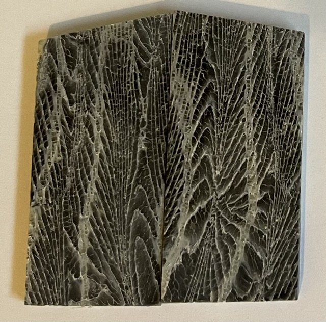 FOSSIL CORAL SCALES         2-5/8 tapers X 1-5/16 X 1/8