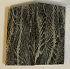 FOSSIL CORAL SCALES         2-5/8 tapers X 1-5/16 X 1/8