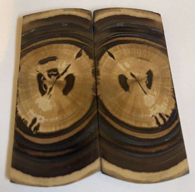 END GRAIN CUT MAMMOTH IVORY           3-1/8 X 1-3/8 X 1/8