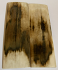  MAMMOTH IVORY SCALES          3-9/16 X 1-1/8 X 1/8