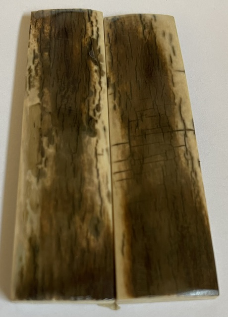  MAMMOTH IVORY SCALES          3-3/8 X 7/8 X 5/32