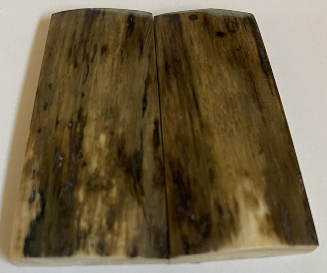  MAMMOTH IVORY SCALES         2-5/8 X 1-1/8 X 1/4