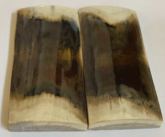  MAMMOTH IVORY SCALES       3-5/8 X 1-9/16 X 1/4