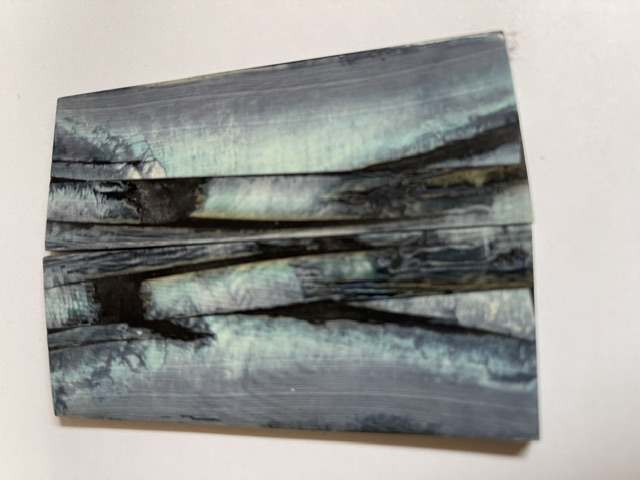 Parallel cut mammoth scales        3-13/16 X 1-3/8 X 1/8