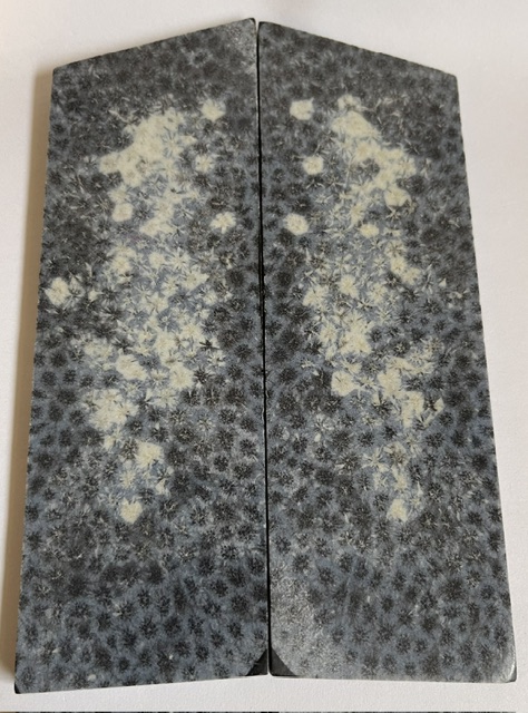 FOSSIL CORAL SCALES            4-11/16 tapers X 1-5/8 X 3/16