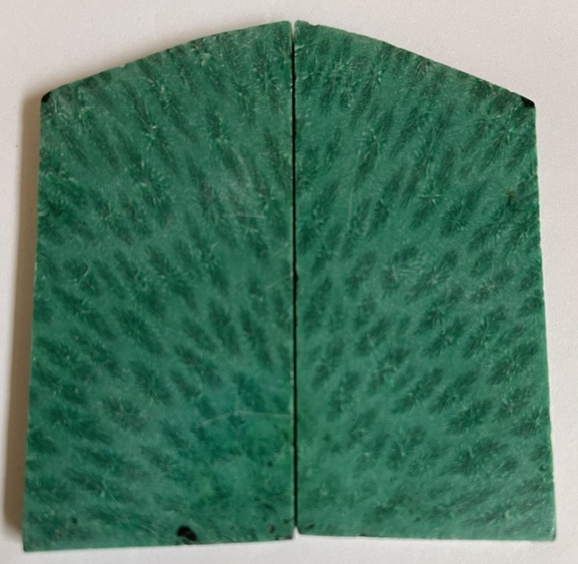 FOSSIL CORAL SCALES         2-15/16 tapers X 1-9/16 X 3/16