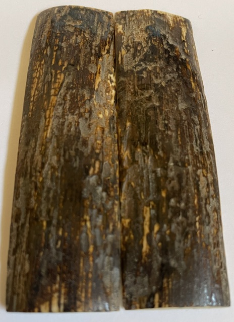  MAMMOTH IVORY SCALES            4-7/16 X 1-1/4 X 1/8
