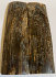  MAMMOTH IVORY SCALES            4-7/16 X 1-1/4 X 1/8