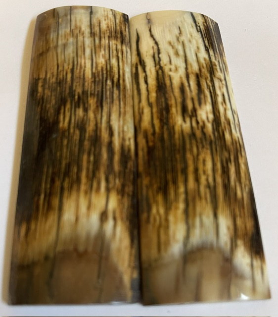  MAMMOTH IVORY SCALES          3-7/8 X 1-1/4 X 3/16