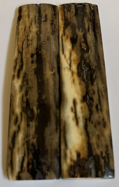  MAMMOTH IVORY SCALES          3-9/16 X 13/16 X 1/8