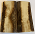  MAMMOTH IVORY SCALES           3-7/8 X 1-13/16 X 5/16