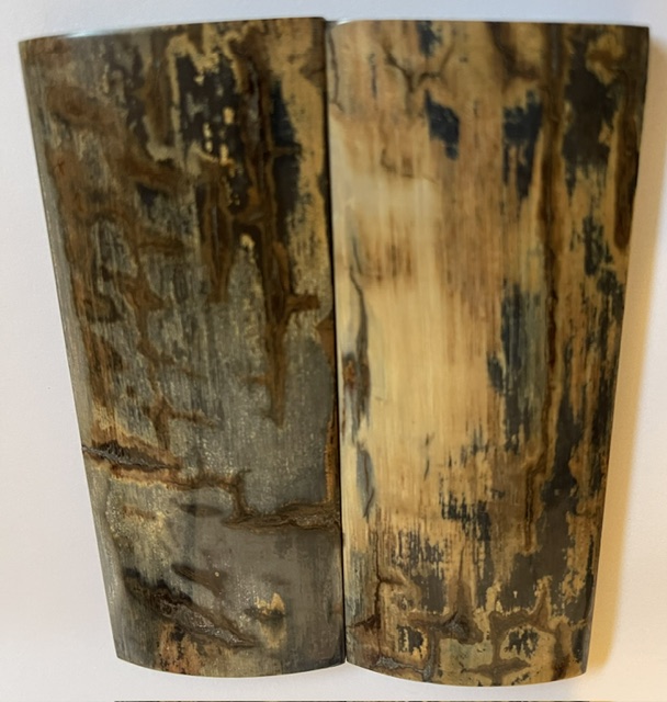  MAMMOTH IVORY SCALES         4-1/8 X 1-5/8 X 5/16