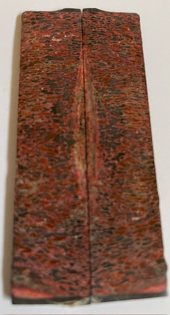 MAMMOTH BONE            4 X 7/8 X 1/8
