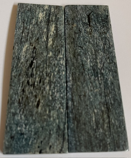 MAMMOTH BONE             3-1/8 X 1 X 1/8