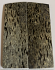 MAMMOTH BONE             3 X 1 X 1/8