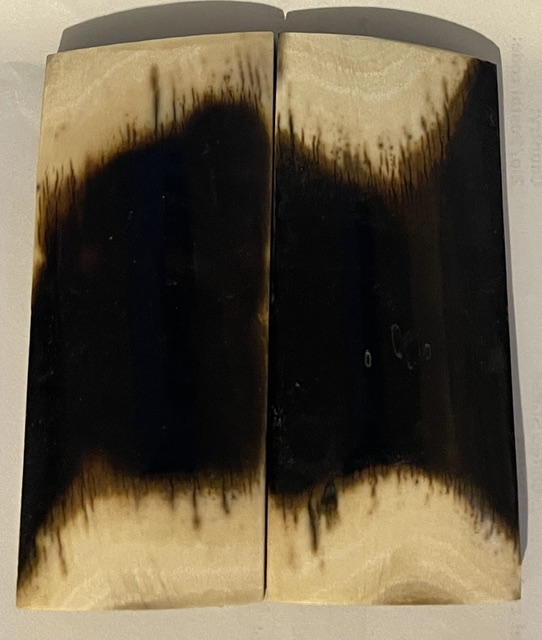  MAMMOTH IVORY SCALES           3-7/16 X 1-1/2 X 1/4