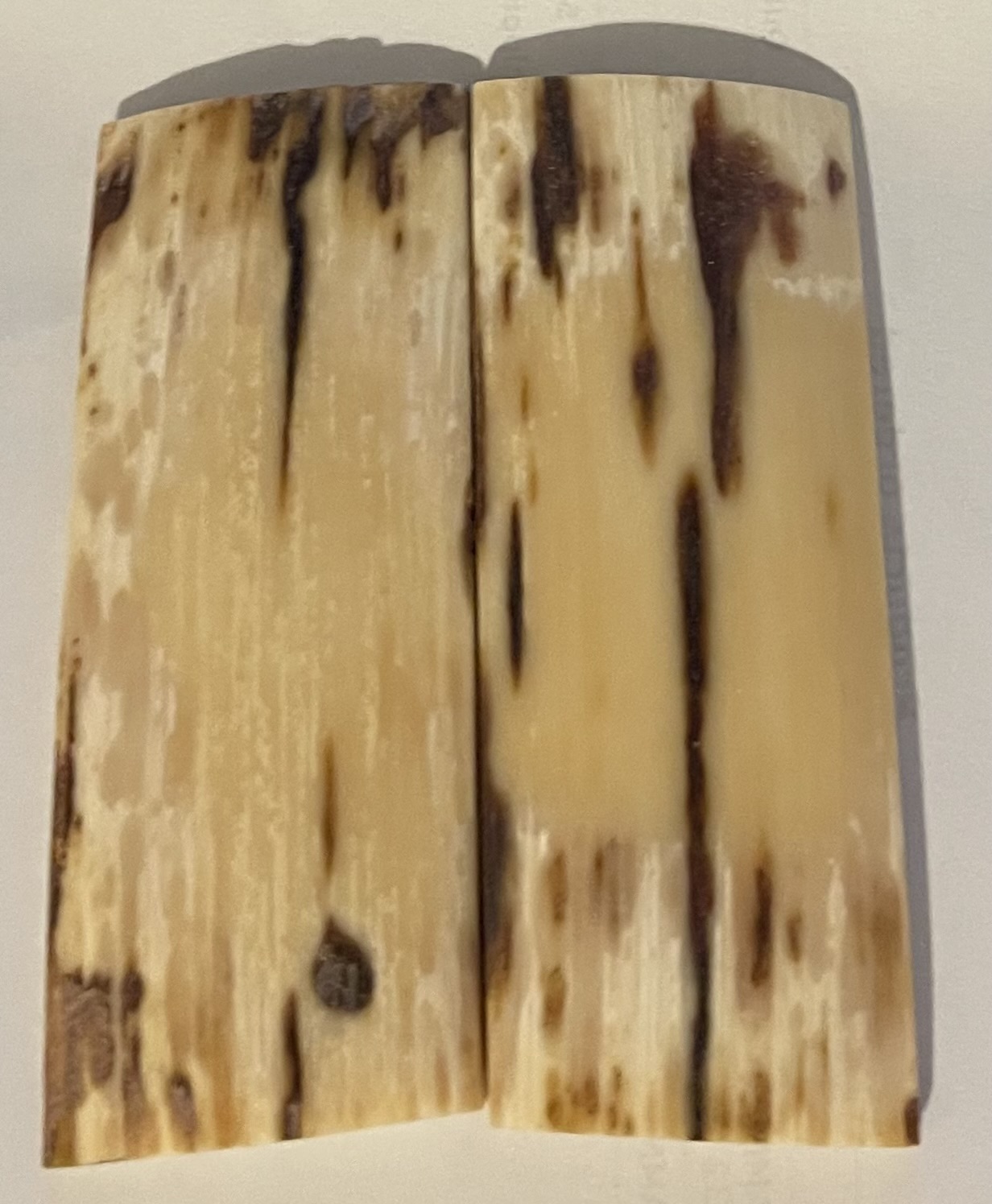  MAMMOTH IVORY SCALES         3-9/16 X 1-7/16 X 3/16