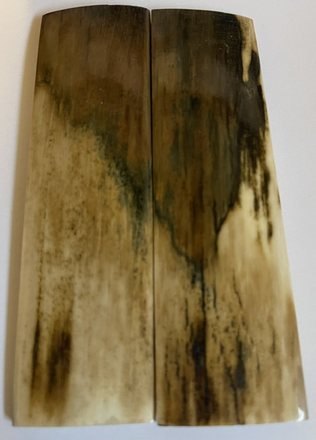  MAMMOTH IVORY SCALES          3-15/16 X 1-1/16 X 5/32