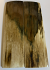  MAMMOTH IVORY SCALES          3-15/16 X 1-1/16 X 5/32