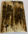  MAMMOTH IVORY SCALES          3-3/8 X 1-3/16 X 1/4