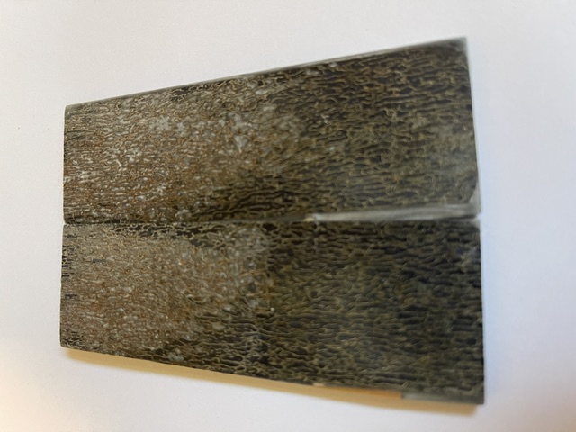 MAMMOTH BONE         3-7/8 X 1-1/4 X 1/8