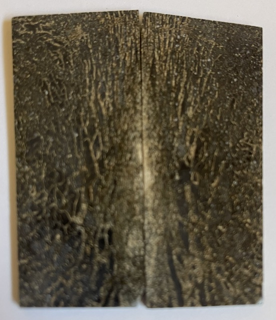 MAMMOTH BONE         3 X 1-1/16 X 1/16
